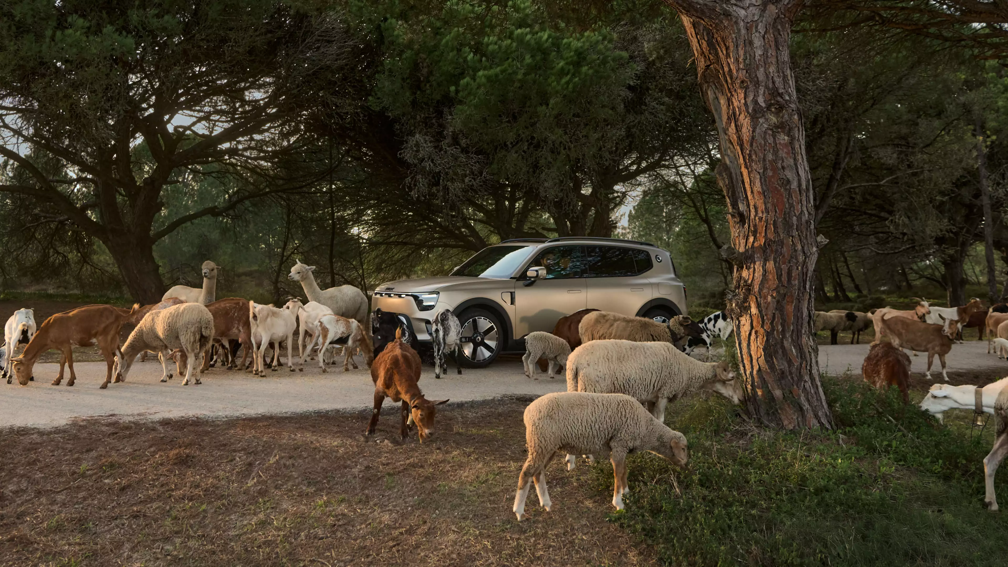 smart voiture électrique prix maroc mercedes brabus